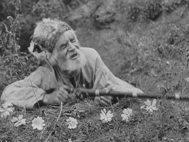 «Звенигора»