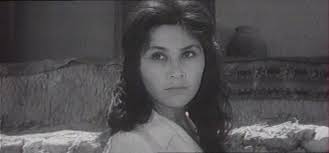 О фильме «Белые, белые аисты» 