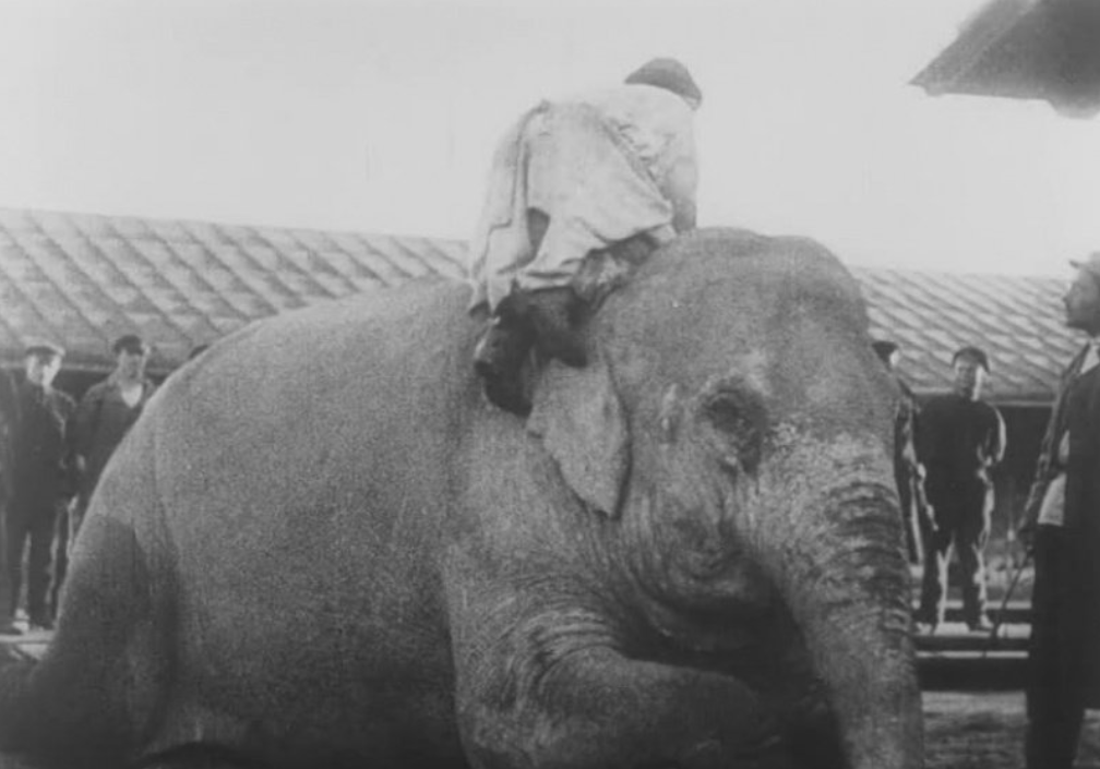 За пределами Советского Союза