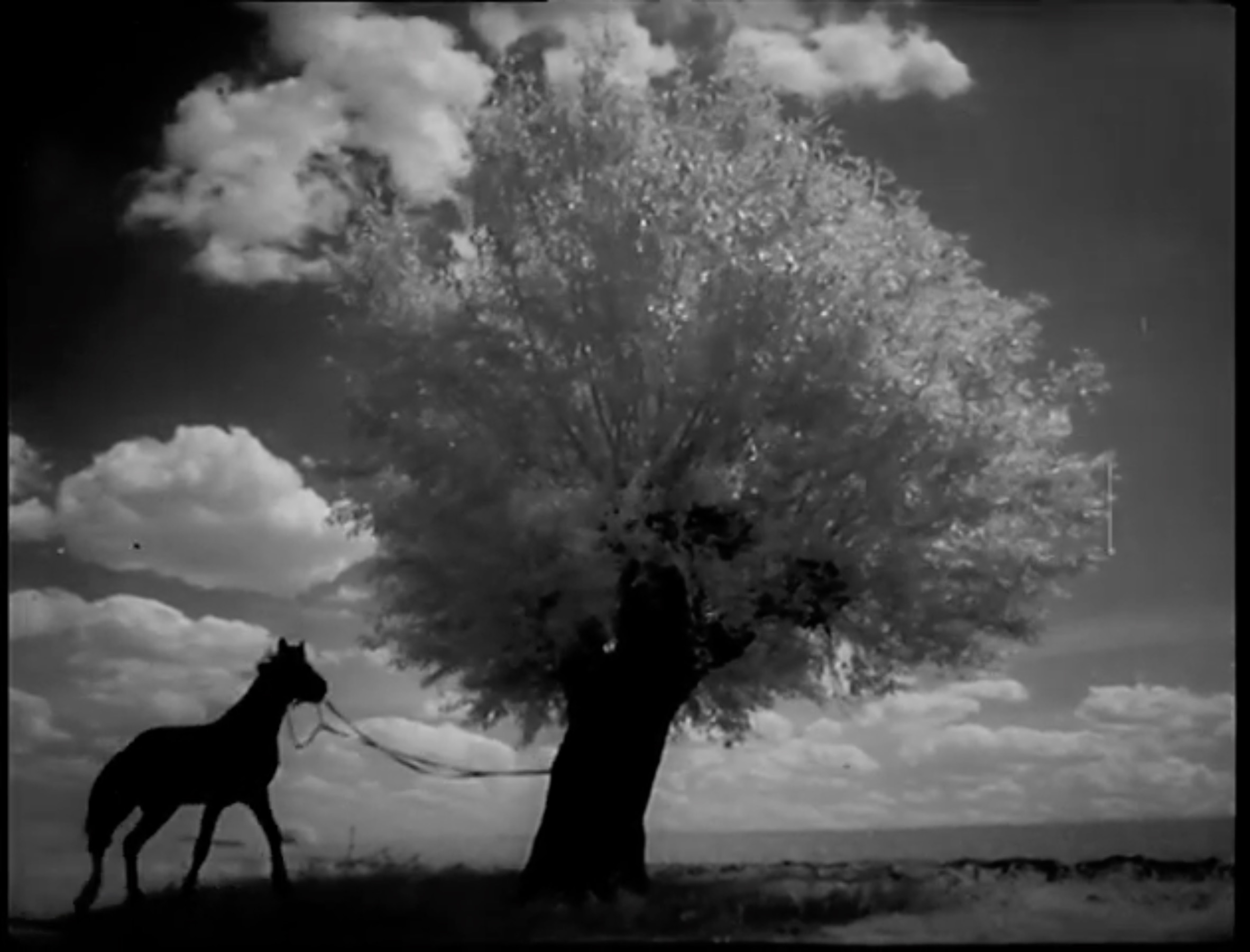 «Объяснение в любви» (рецензия на фильм)