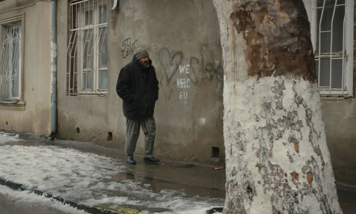 Большая маленькая Джесси