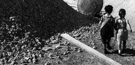 Невоспитанная жизнь