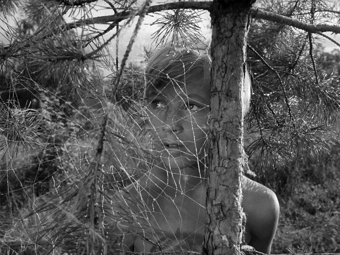 Звуковые притчи Андрея Тарковского