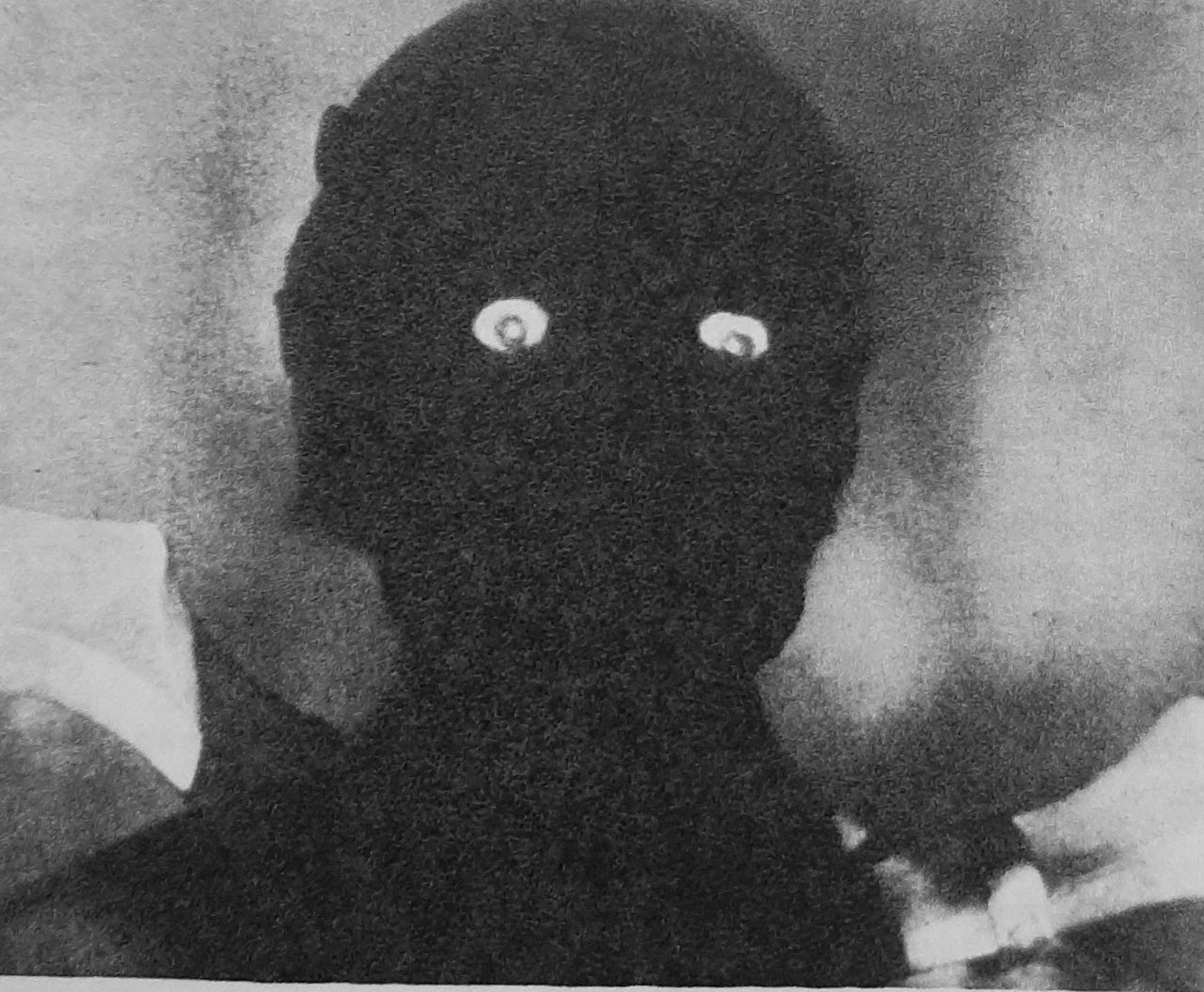 Оператор – творческий соавтор