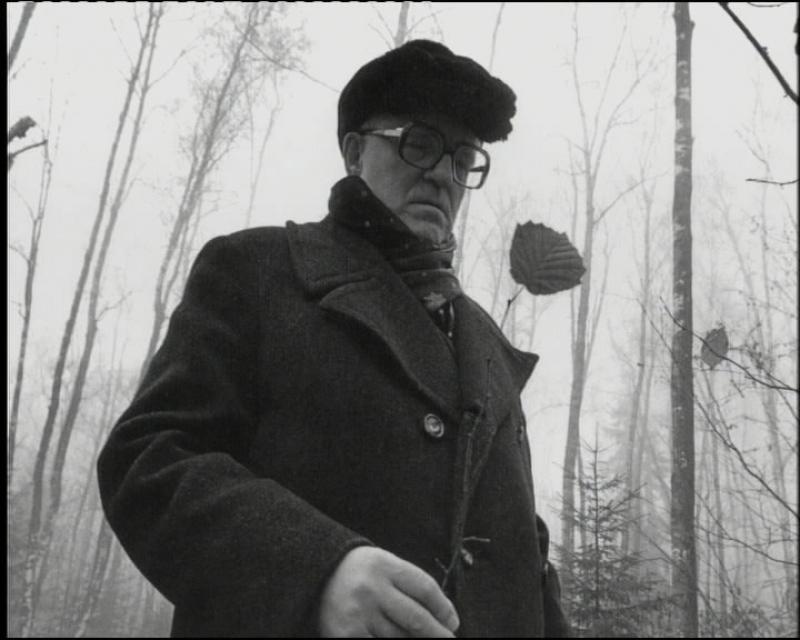 Опыт в кино