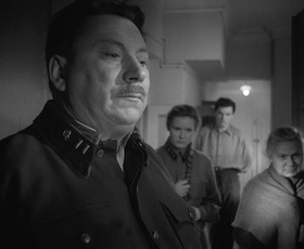 Полвека с кинематографом