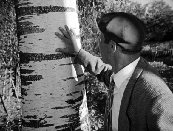 Подкурс: Шукшин. Части речи