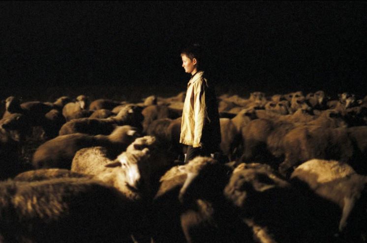 Строгие юноши